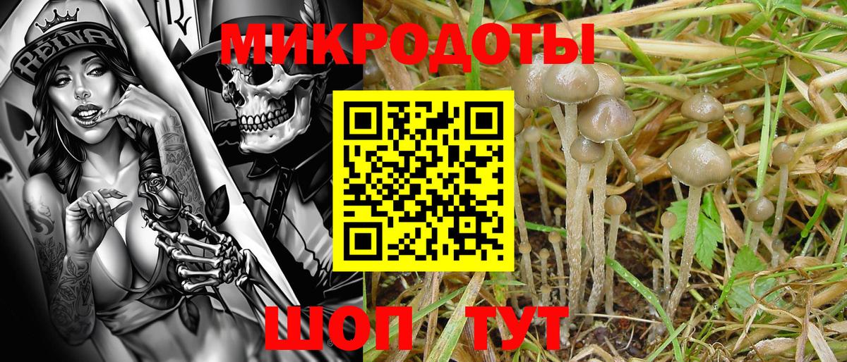 Галлюциногенные грибы ЛСД Тольятти